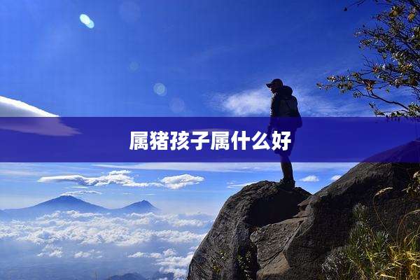 属猪孩子属什么好
