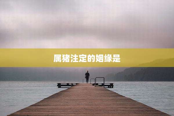 属猪注定的姻缘是