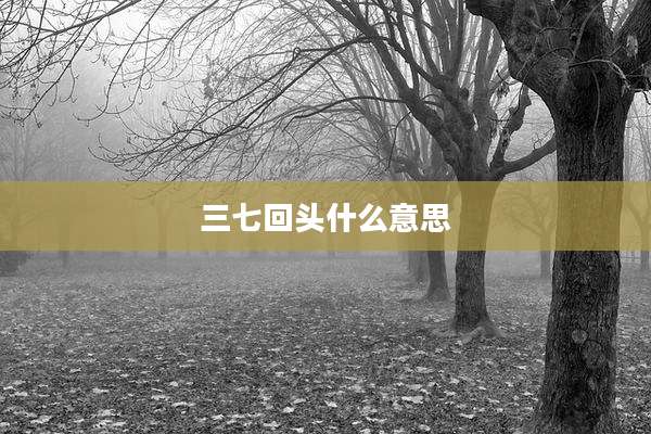 三七回头什么意思