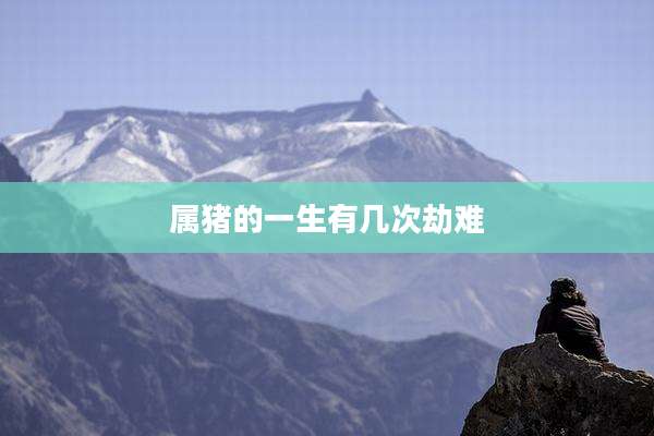 属猪的一生有几次劫难