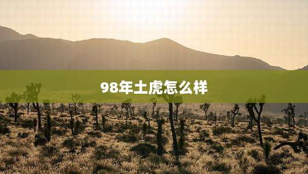 98年土虎怎么样