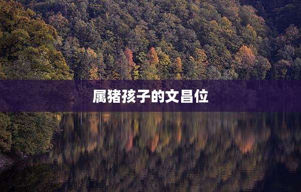 属猪孩子的文昌位