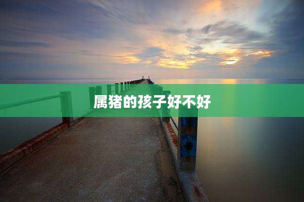 属猪的孩子好不好