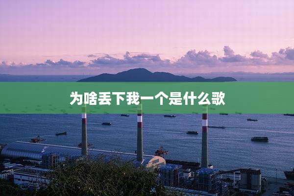 为啥丢下我一个是什么歌