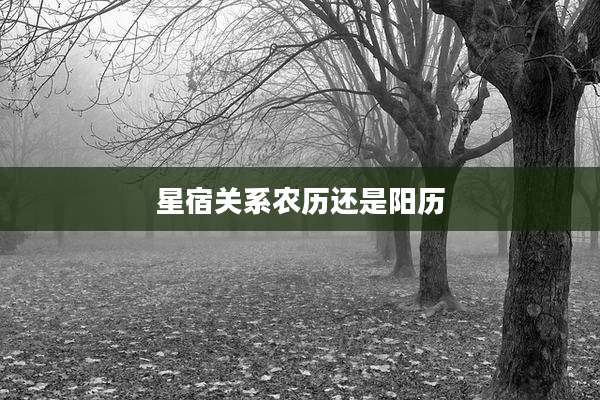 星宿关系农历还是阳历