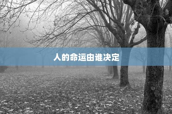 人的命运由谁决定