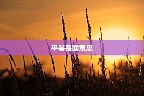 平等是啥意思