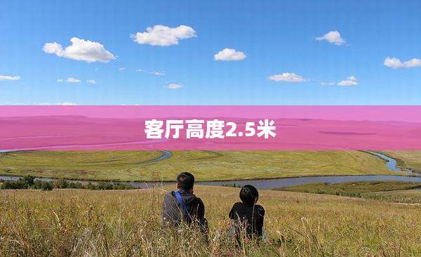 客厅高度2.5米