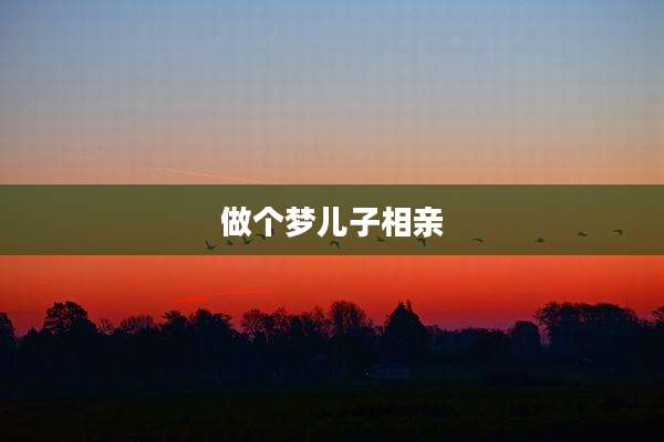 做个梦儿子相亲
