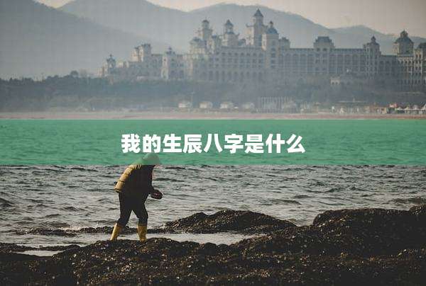 我的生辰八字是什么