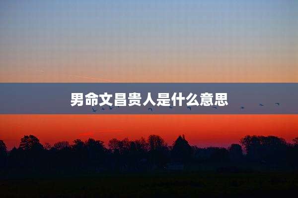 男命文昌贵人是什么意思