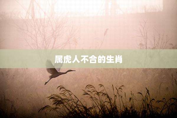 属虎人不合的生肖