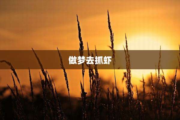 做梦去抓虾