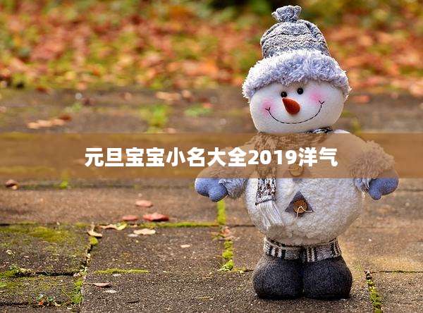 元旦宝宝小名大全2019洋气