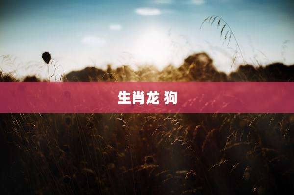 生肖龙 狗