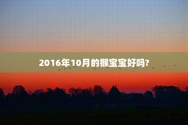 2016年10月的猴宝宝好吗?