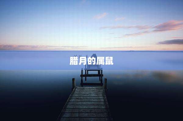 腊月的属鼠