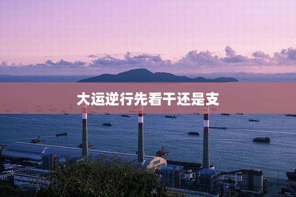 大运逆行先看干还是支