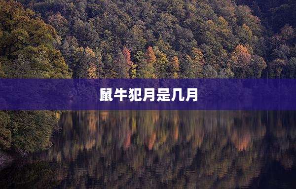 鼠牛犯月是几月