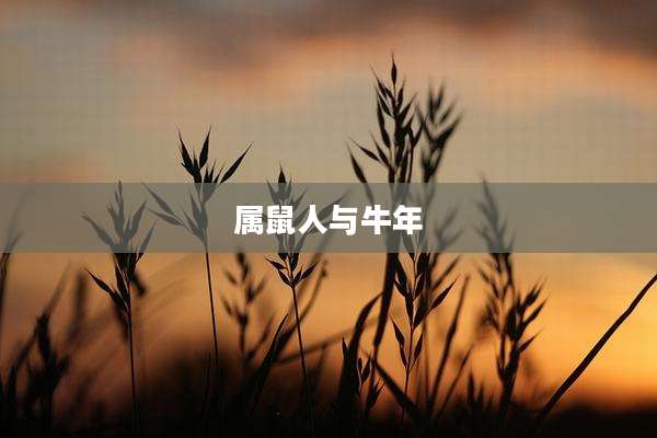 属鼠人与牛年
