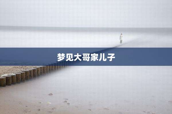 梦见大哥家儿子