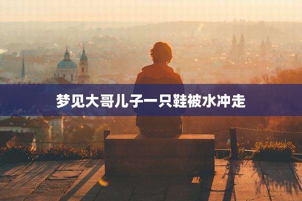 梦见大哥儿子一只鞋被水冲走