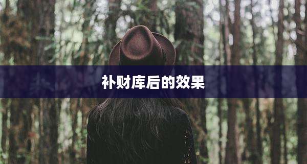补财库后的效果