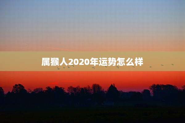 属猴人2020年运势怎么样