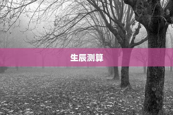 生辰测算