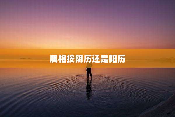 属相按阴历还是阳历