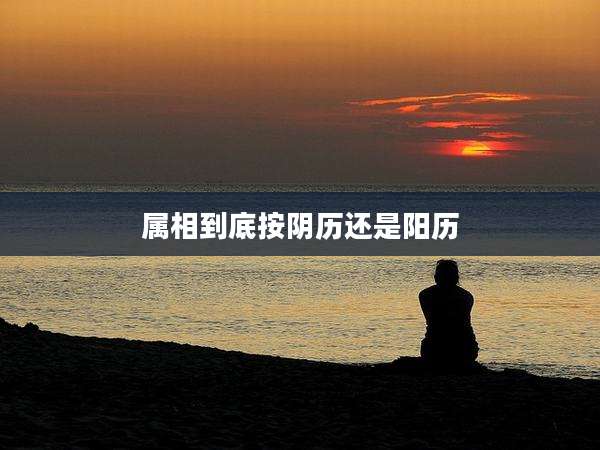 属相到底按阴历还是阳历