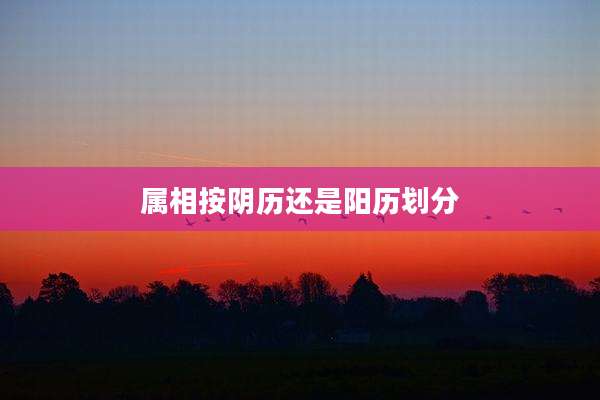 属相按阴历还是阳历划分