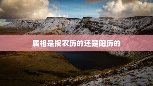 属相是按农历的还是阳历的