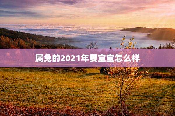 属兔的2021年要宝宝怎么样