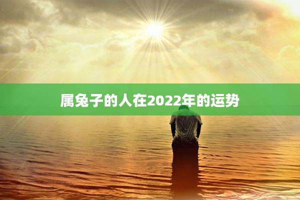 属兔子的人在2022年的运势