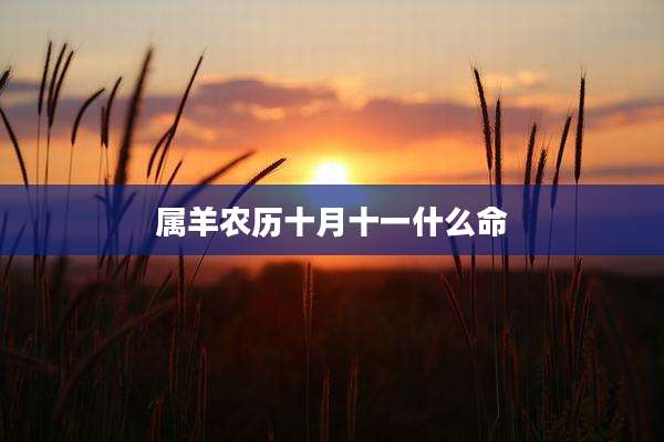 属羊农历十月十一什么命