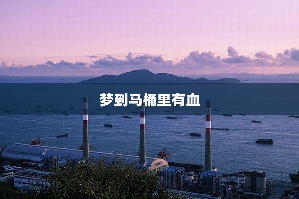 梦到马桶里有血