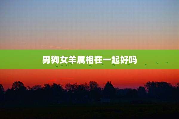 男狗女羊属相在一起好吗