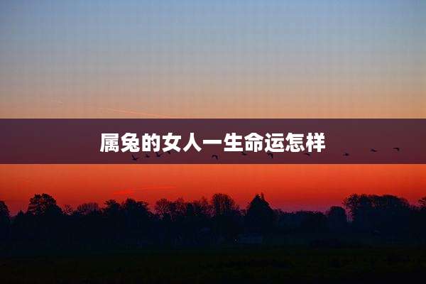 属兔的女人一生命运怎样