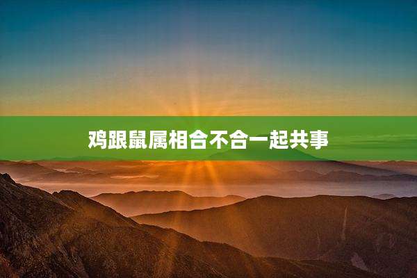 鸡跟鼠属相合不合一起共事