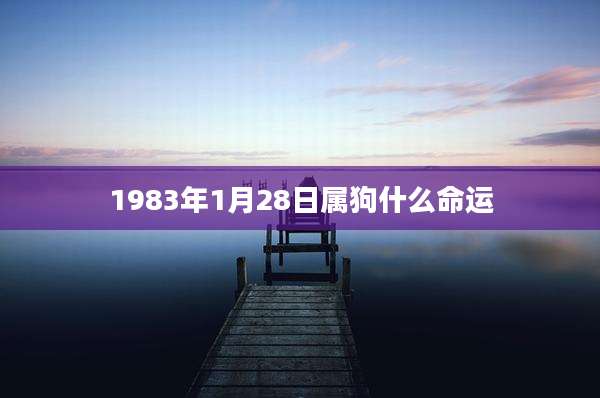 1983年1月28日属狗什么命运