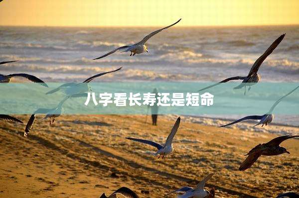 八字看长寿还是短命