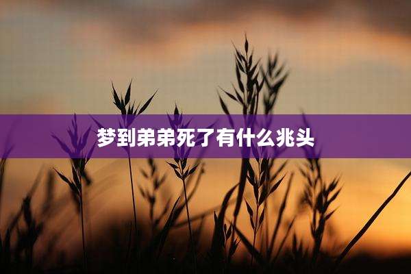 梦到弟弟死了有什么兆头