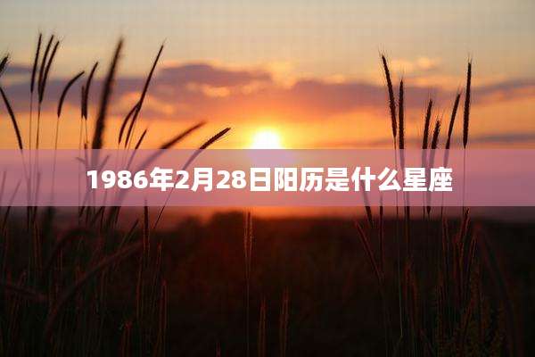 1986年2月28日阳历是什么星座