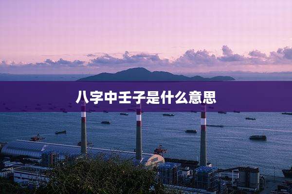 八字中壬子是什么意思