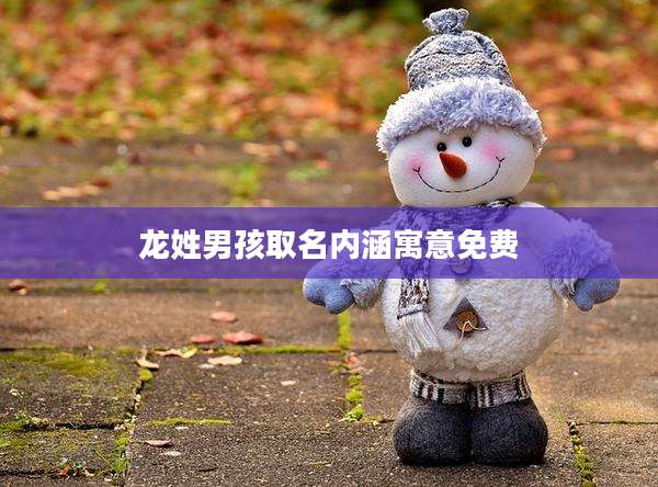 龙姓男孩取名内涵寓意免费