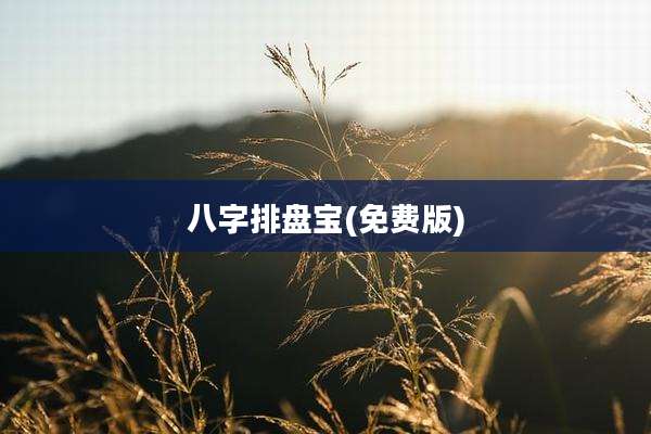 八字排盘宝(免费版)