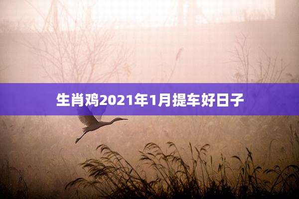 生肖鸡2021年1月提车好日子