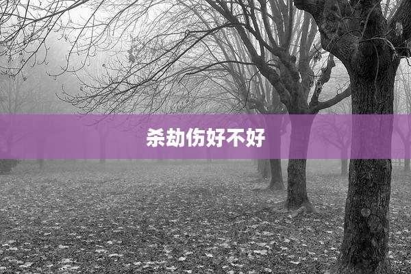 杀劫伤好不好