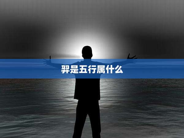 羿是五行属什么